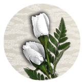 DAROUND 060 2 Roses White